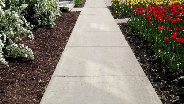 Concrete Pathway Repair in Shreveport