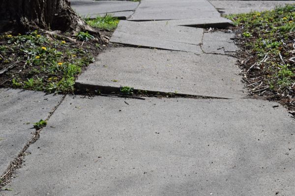 Cost of Trip Hazard Removal in Shreveport